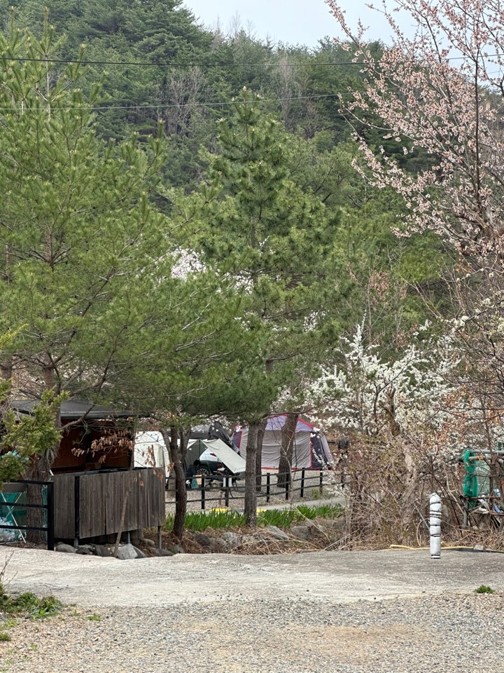 삼척엘림캠핑장 이미지