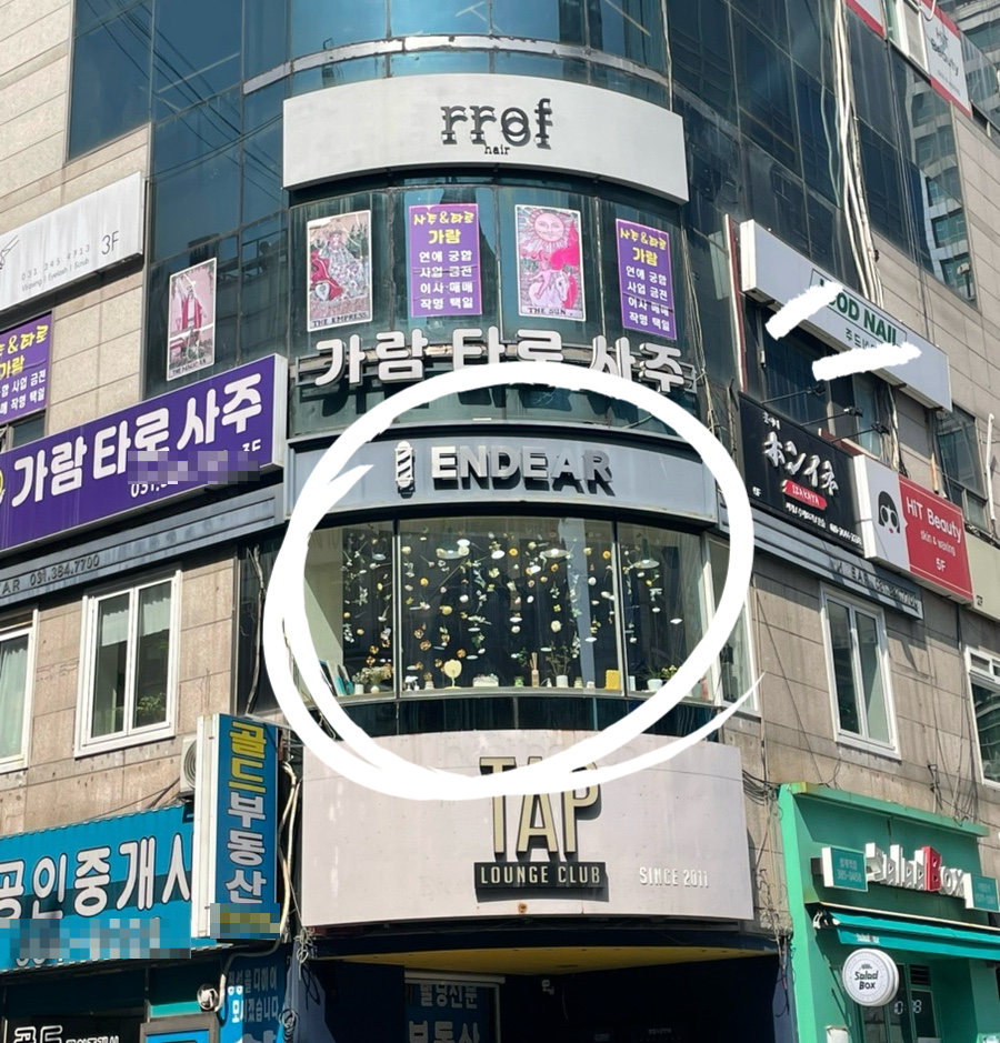 엔디어 이미지