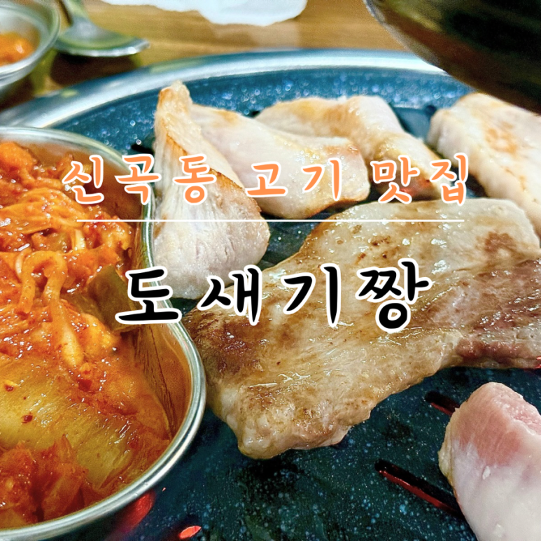 도새기짱 이미지