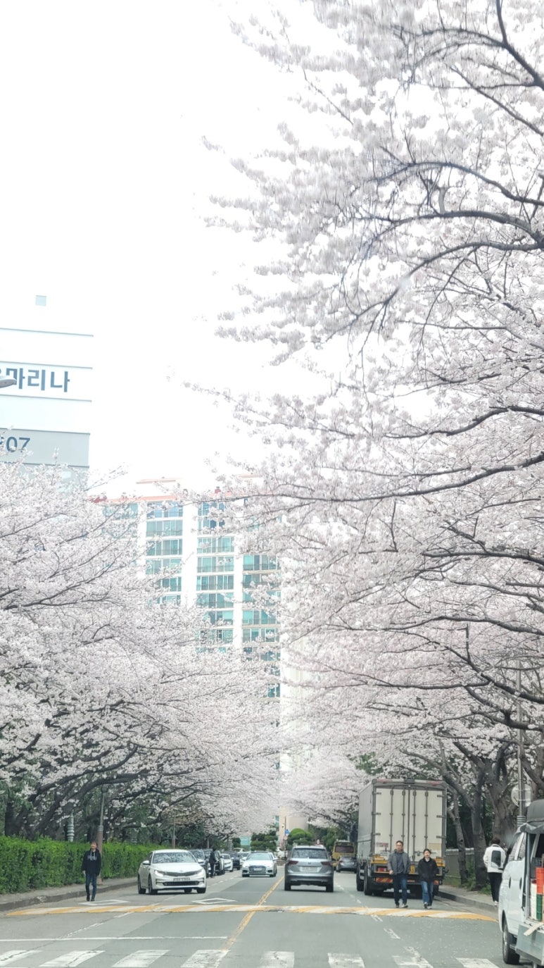베이커리비채 이미지