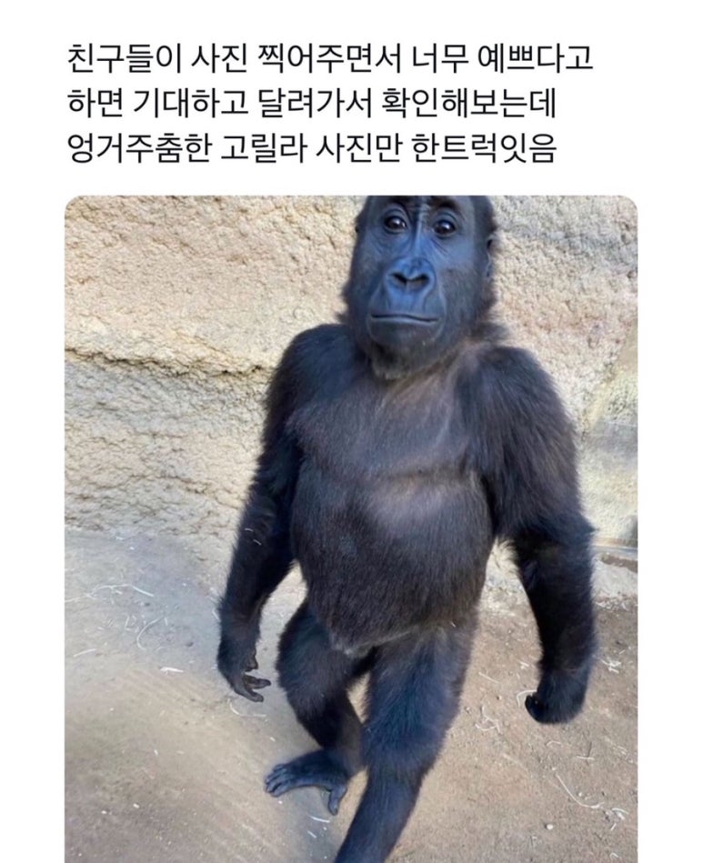 투어앤조이 이미지
