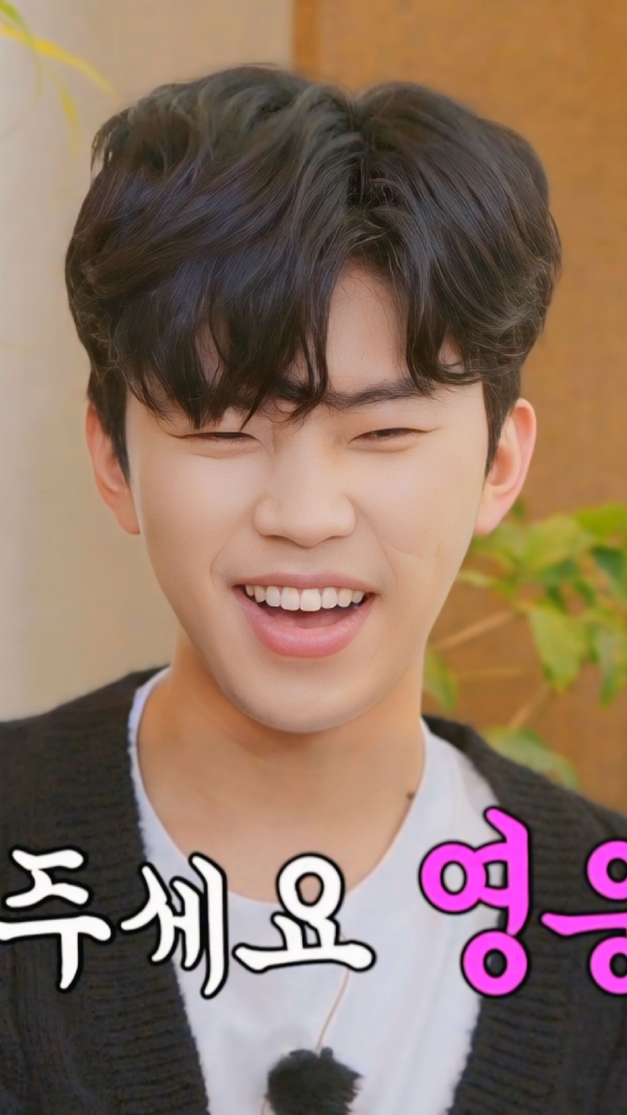 아티스 이미지