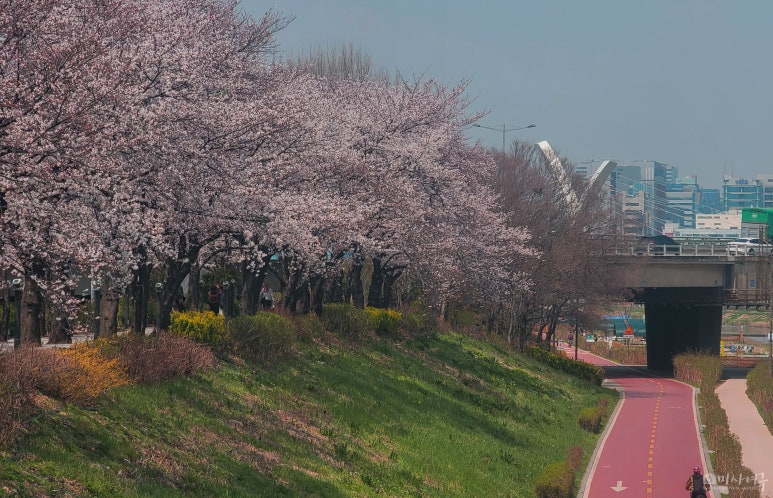 금천구청 종합청사 이미지