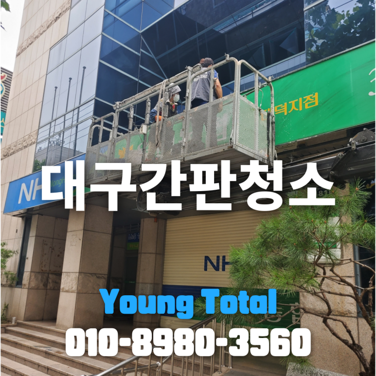 영토탈 이미지