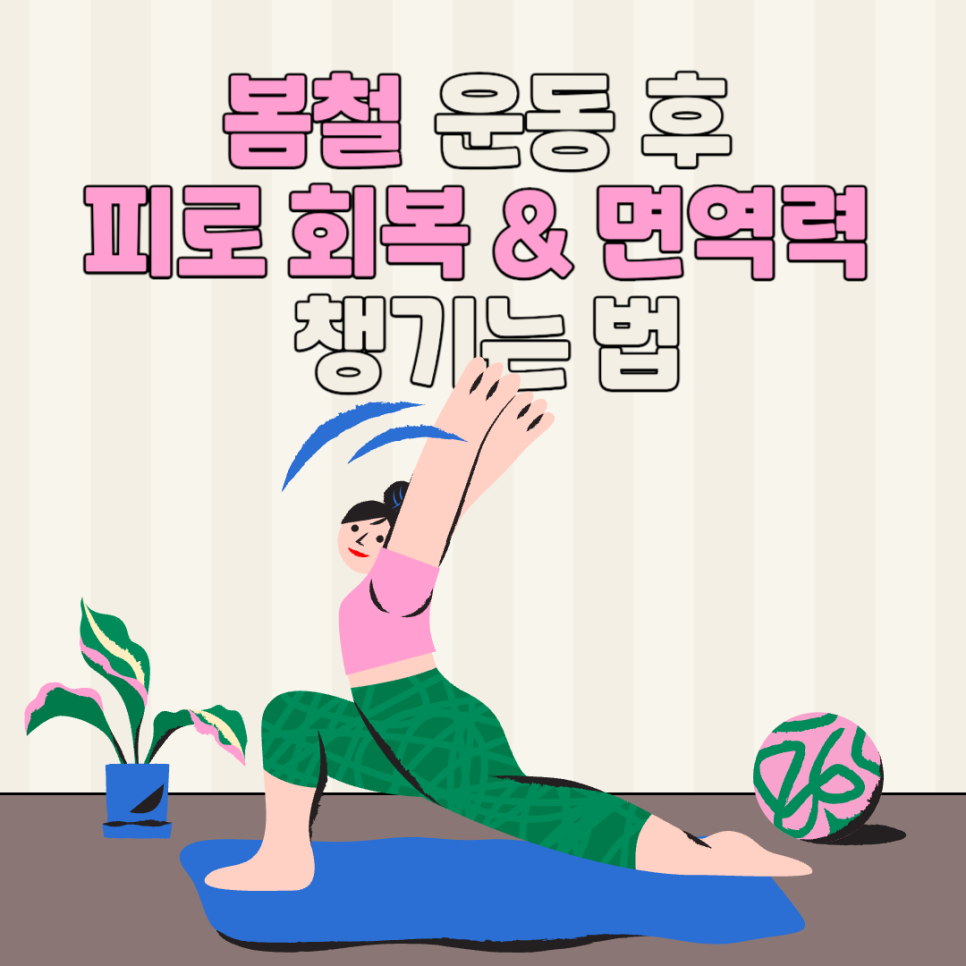 세이브피트니스오금 이미지