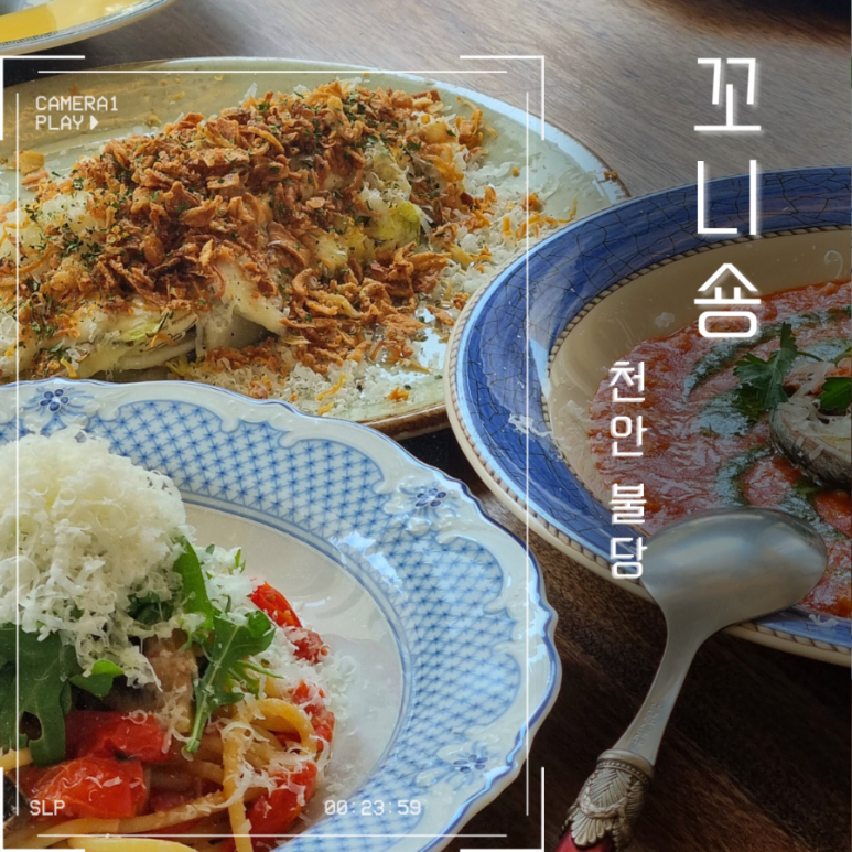 꼬니숑 이미지