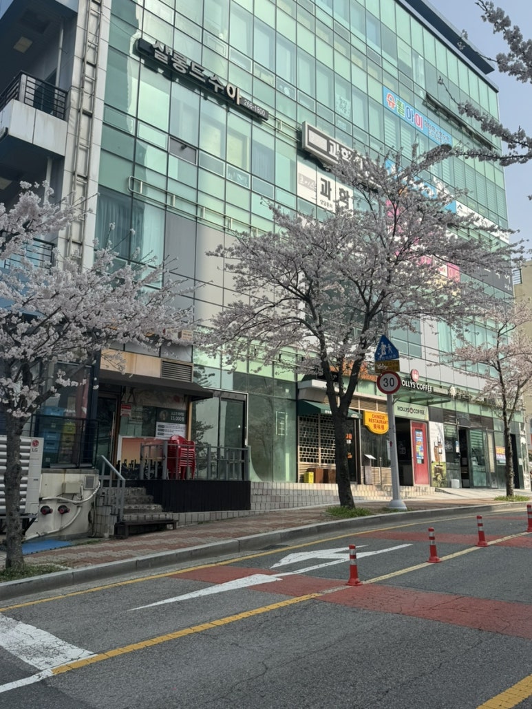 살롱드수아 이미지