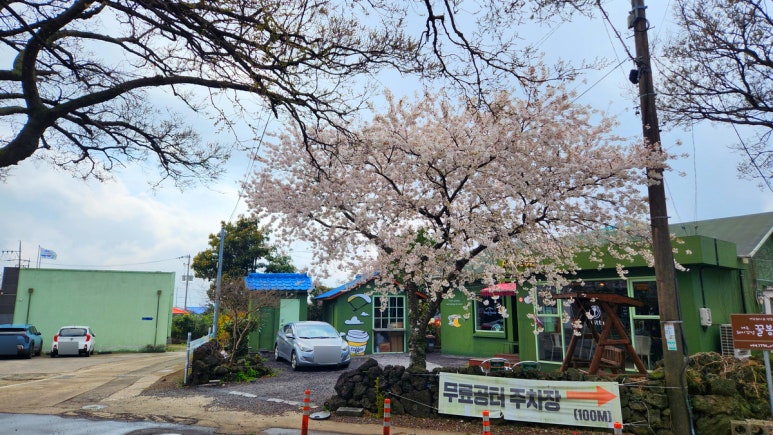 국수맛집 이미지