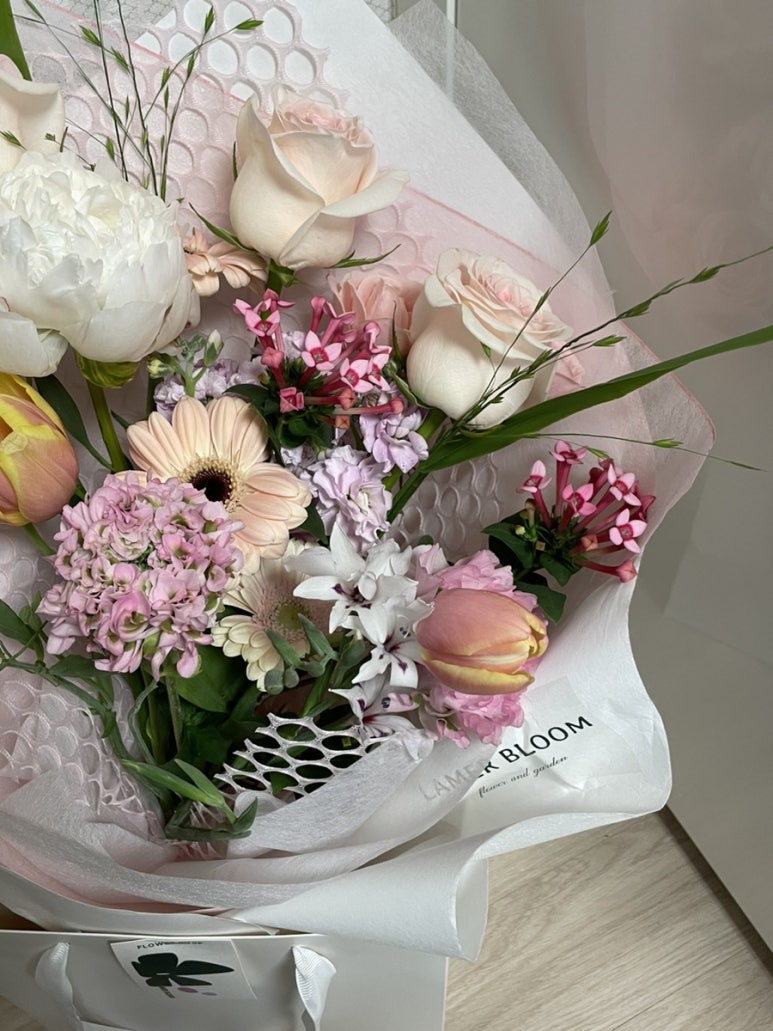 라메르블룸 이미지