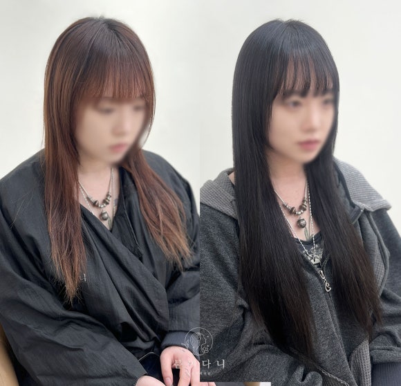 붙이다니 이미지