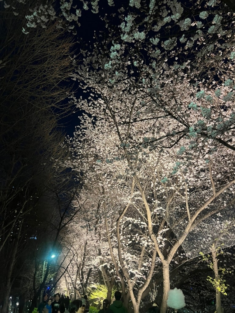 매봉정육점 이미지