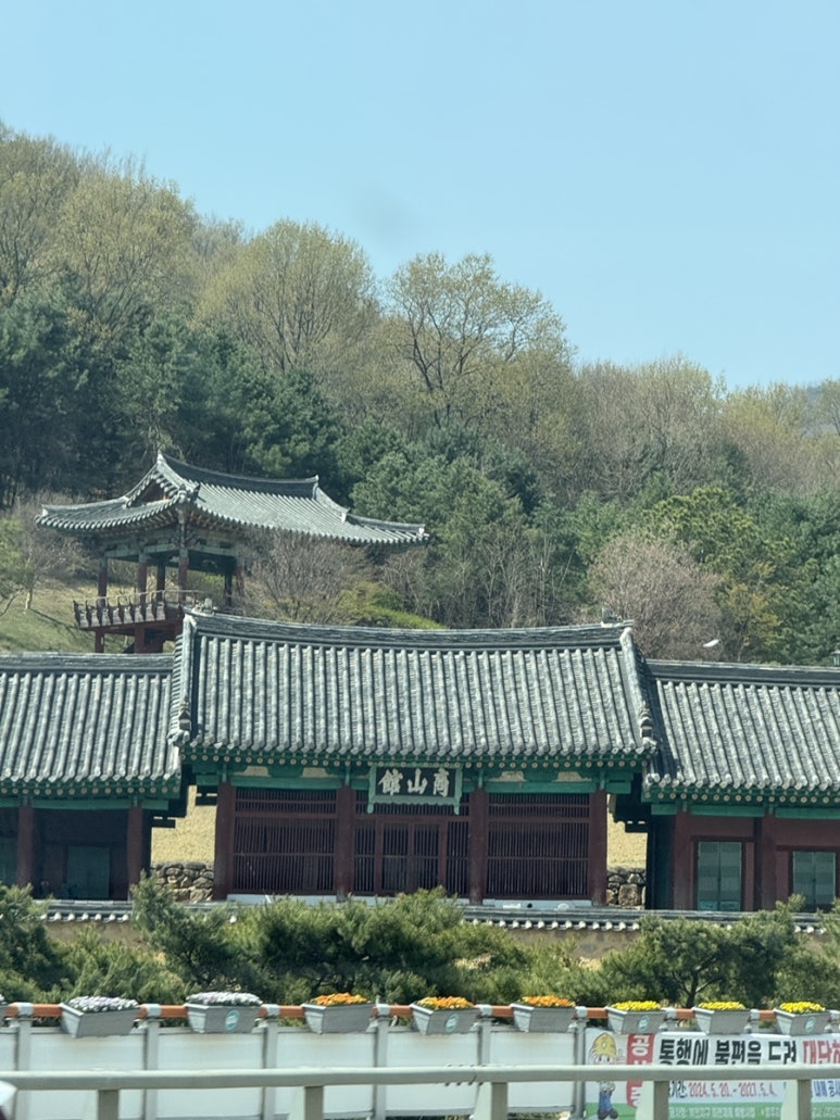 손자장을아시나요 이미지