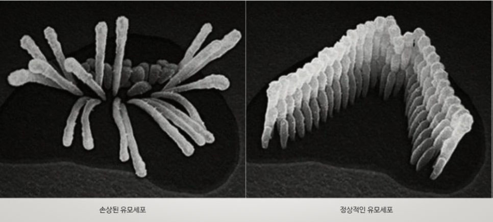 천수당한의원 이미지
