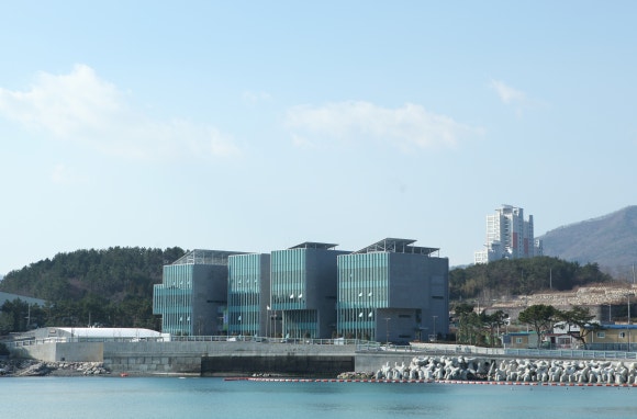 경북영덕수산 이미지