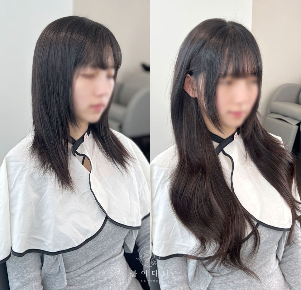 붙임머리 이미지