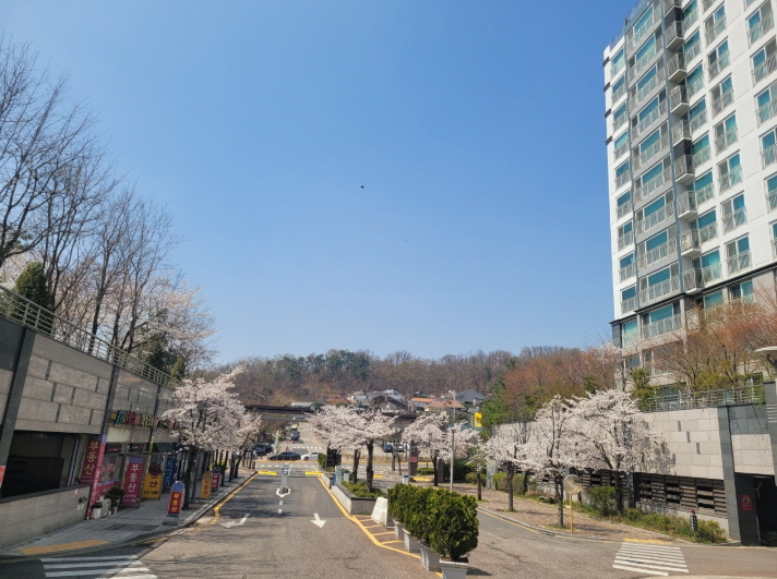 신동아세탁소 이미지