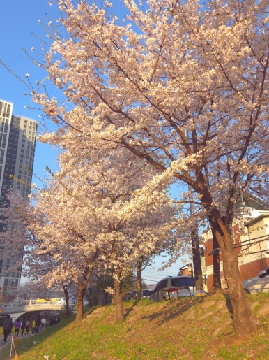 하윤모터스 이미지
