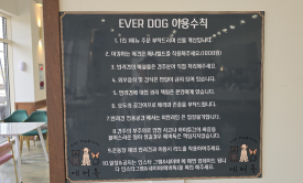 에버독 이미지