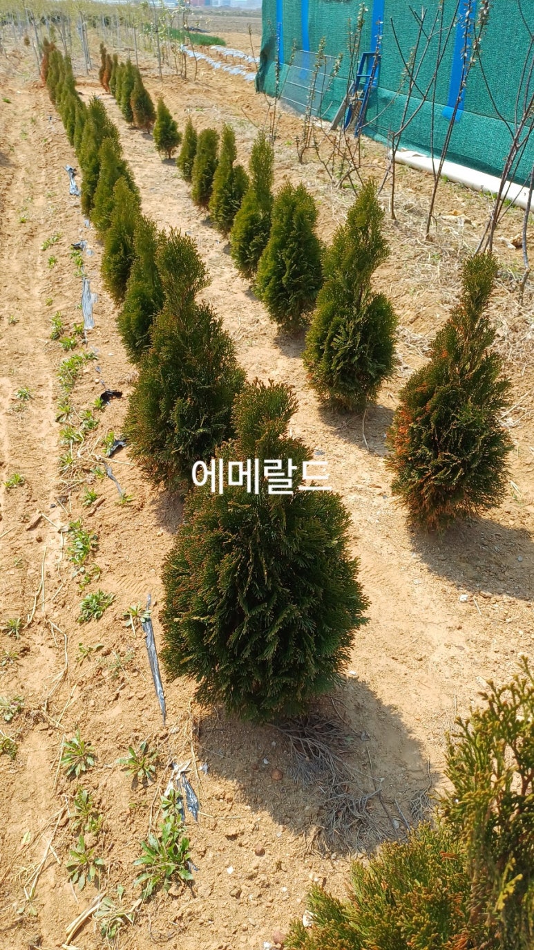 화성농원 이미지