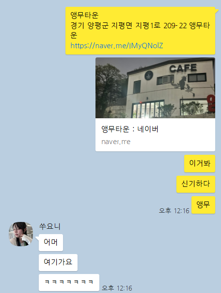 앵무타운 이미지