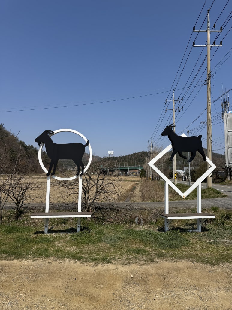 늘푸른흑염소가든보성 이미지