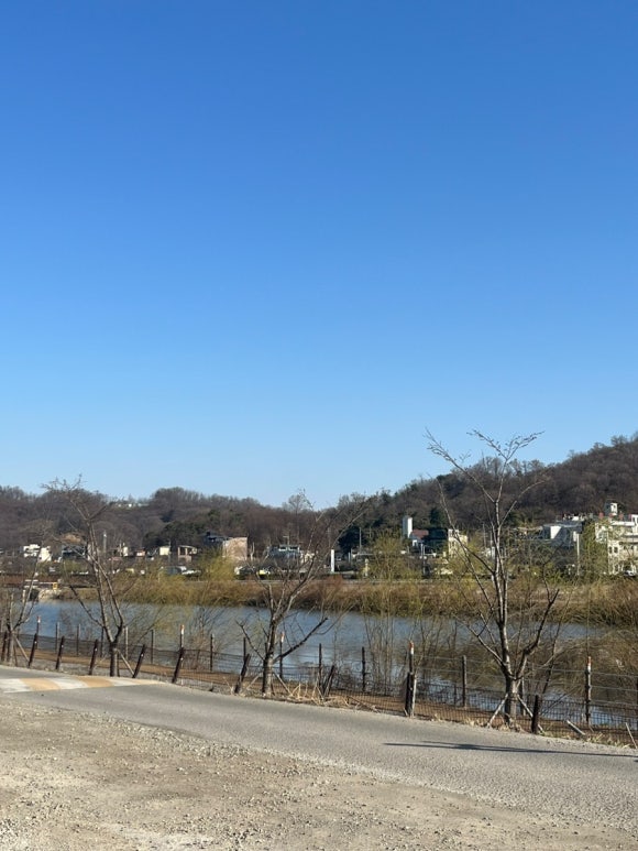 물왕호수캠핑 이미지