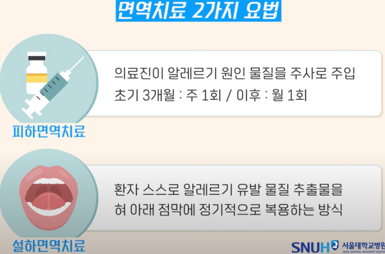 서현숲가정의학과의원 이미지