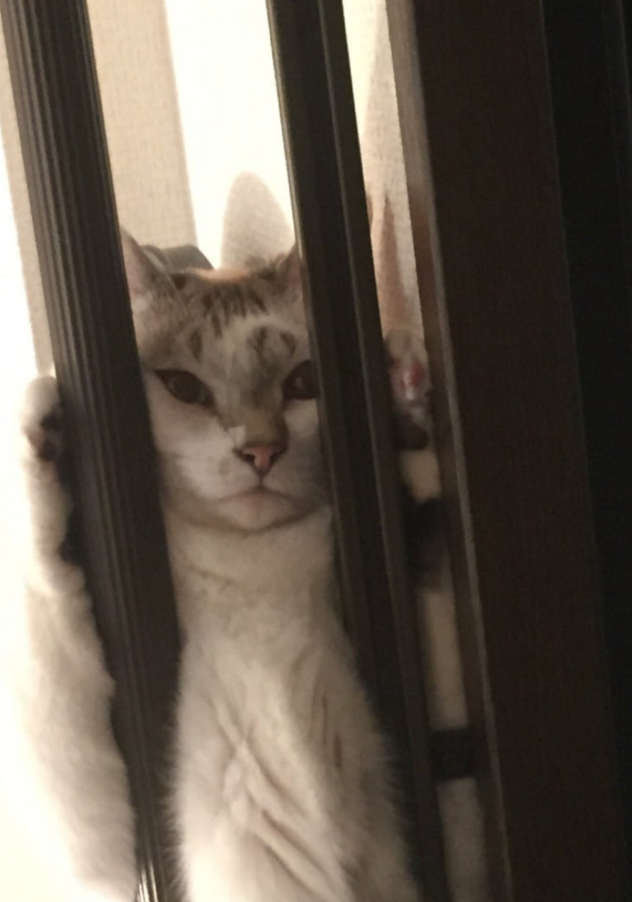 우리 네일봐 이미지