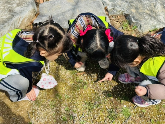 선암어린이집 이미지