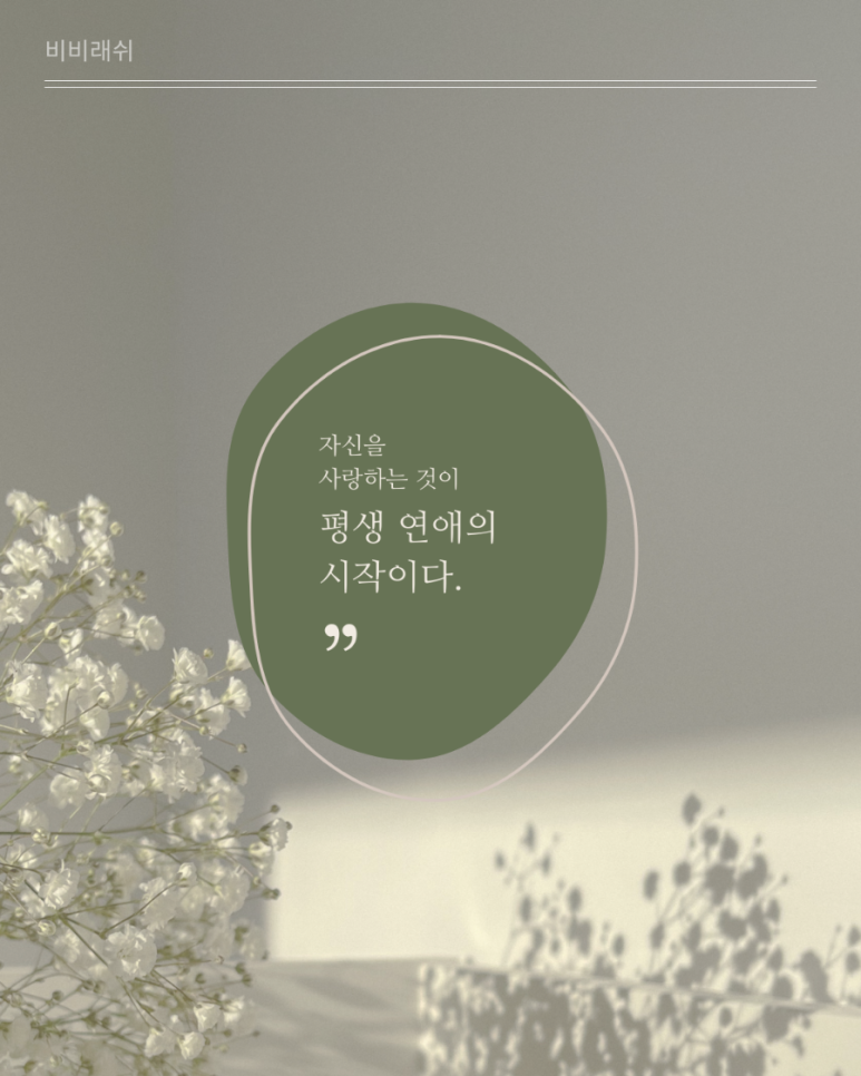 비비래쉬 이미지
