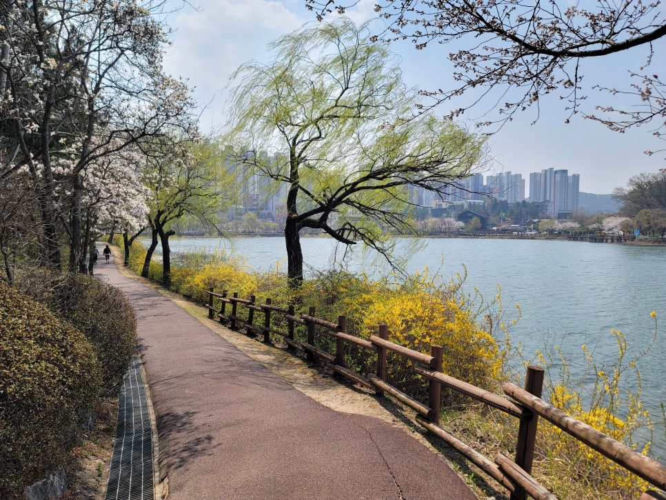 민트초코충주 이미지