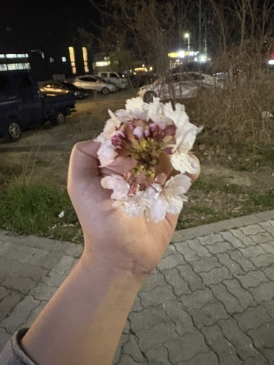바다이야기일번가 이미지