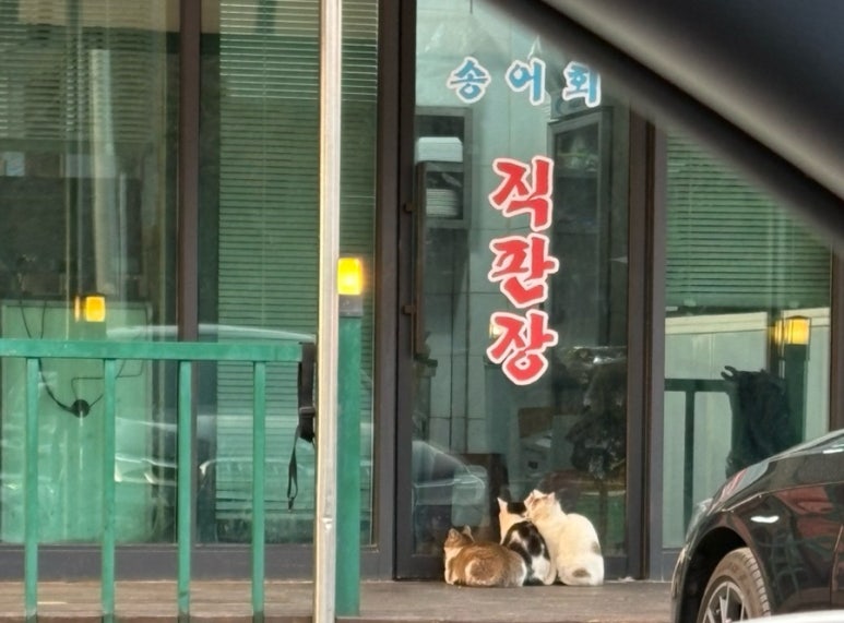 금빛송어횟집 이미지