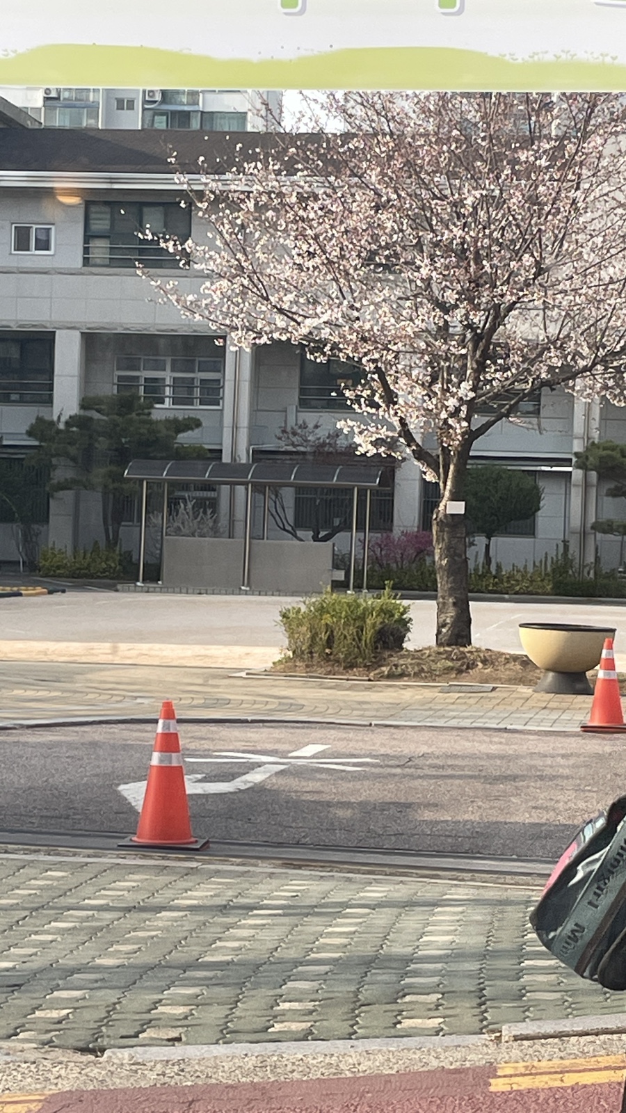 카쩨 이미지