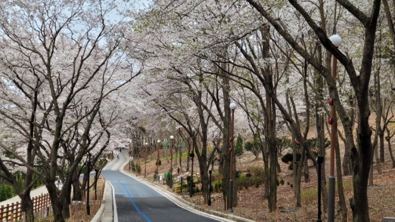 카페보리 이미지