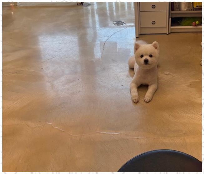 살롱아리 이미지