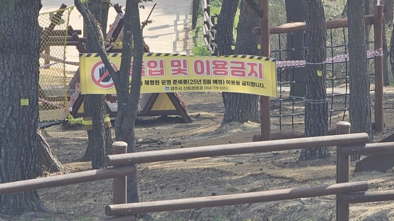 화랑 유아숲체험원 이미지