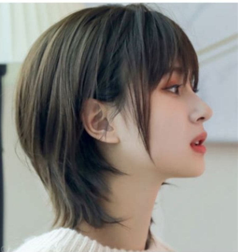 뽀끌레 이미지