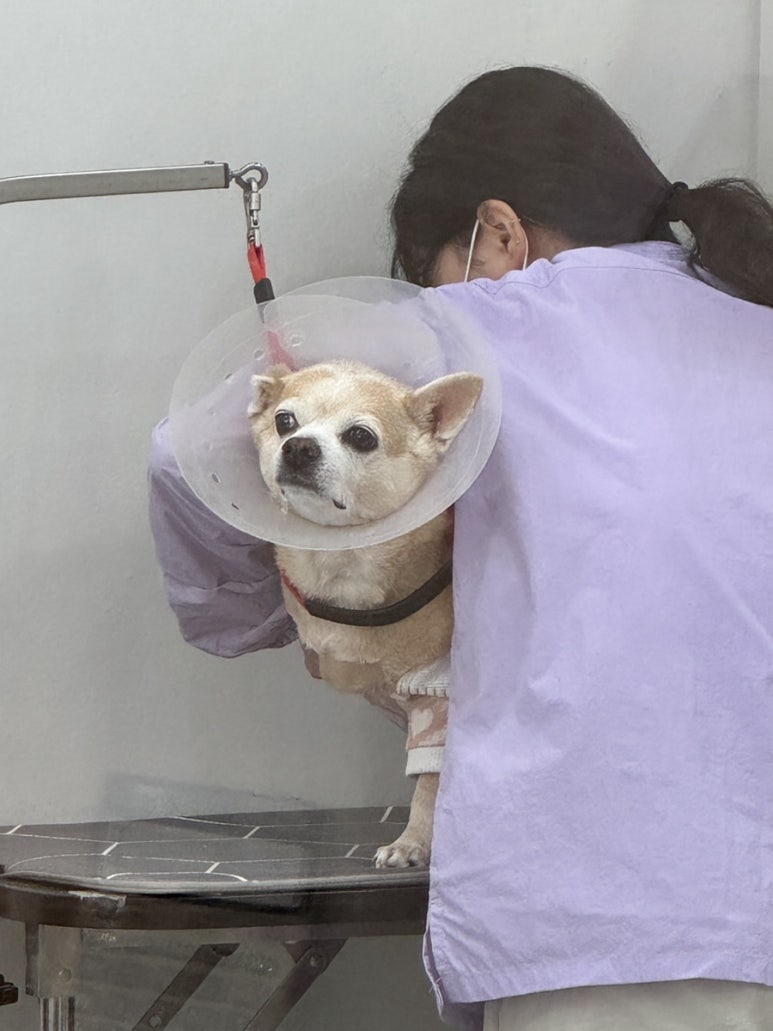 미용실다온 이미지