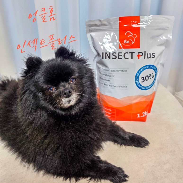 엉클플러스 이미지