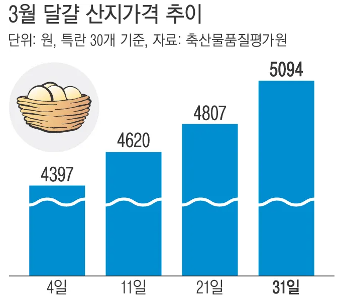 고분계란 이미지