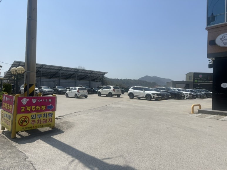 뽕이나무 이미지