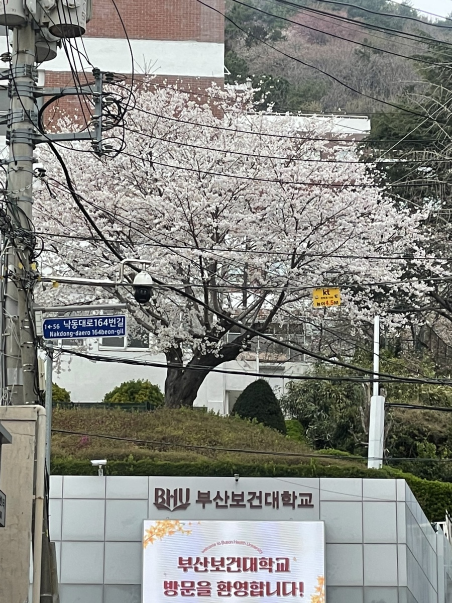 초원각 이미지