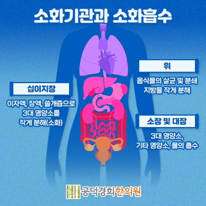 공덕경희한의원 이미지