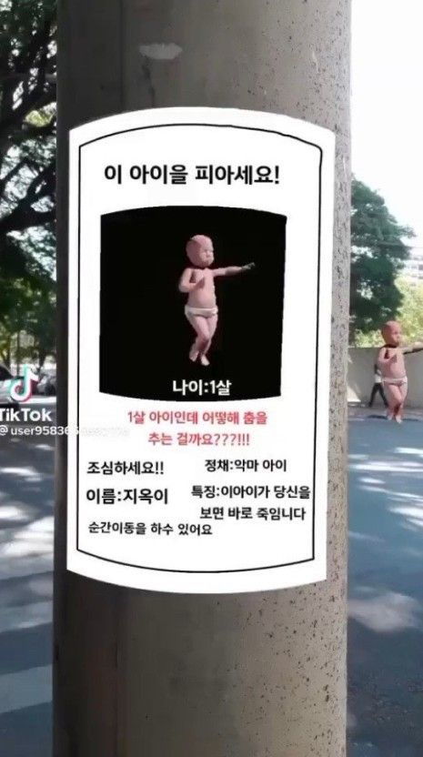 돼지세상 이미지