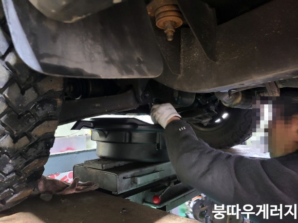 붕따우게러지 이미지