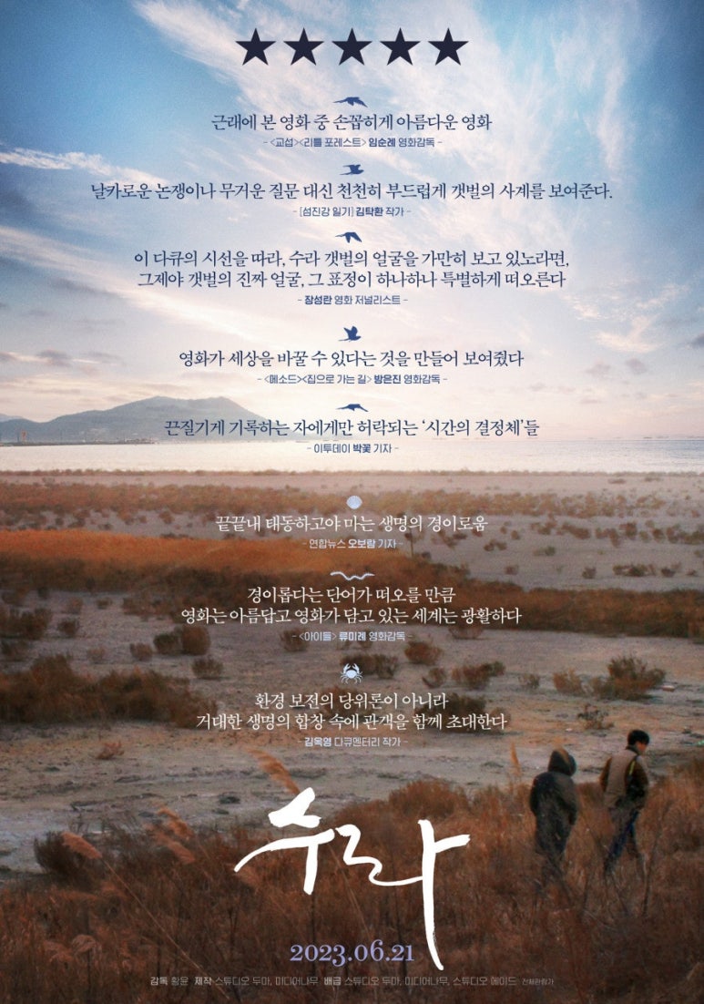 수라인 이미지