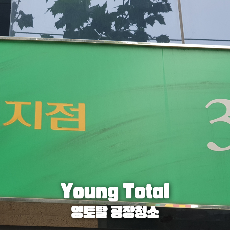 영토탈 이미지