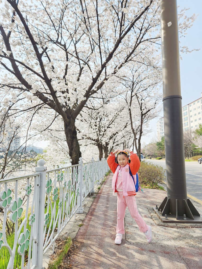 다이소전주하가점 이미지