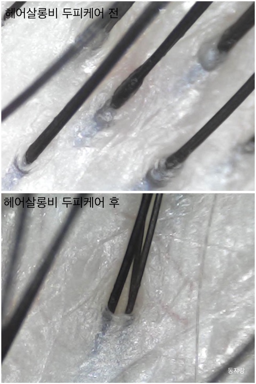 살롱비 이미지